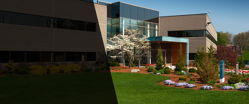 Chatsworth Landscapers