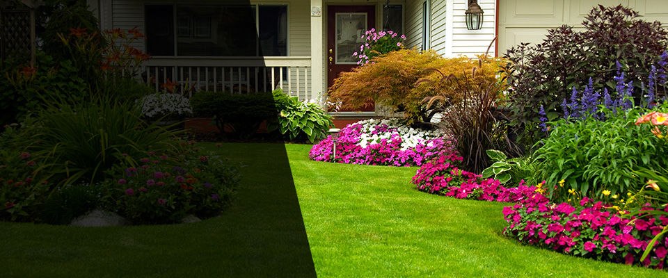 Chatsworth Landscapers