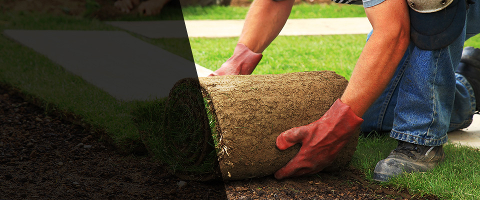 Chatsworth Landscapers
